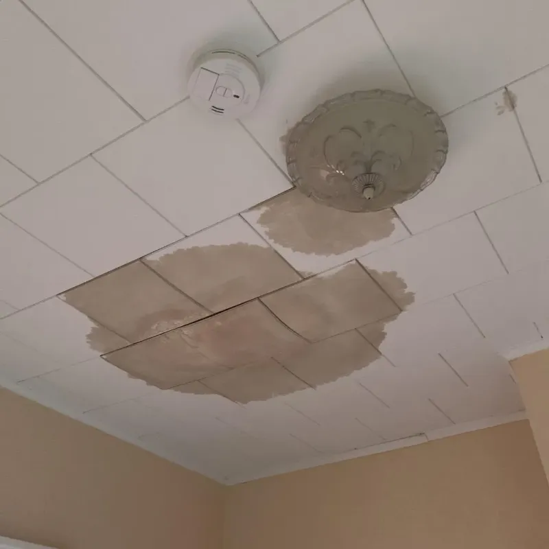 Ceiling Water Damage Repair in Verona, PA